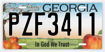 GA license plate PZF3411