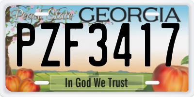 GA license plate PZF3417