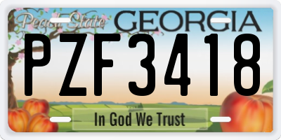 GA license plate PZF3418