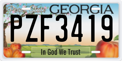 GA license plate PZF3419