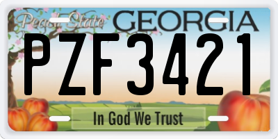 GA license plate PZF3421