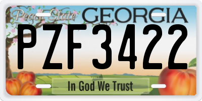 GA license plate PZF3422