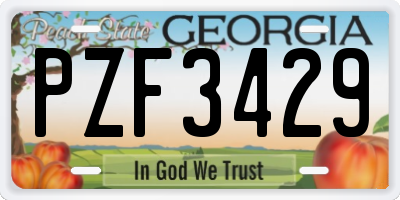 GA license plate PZF3429