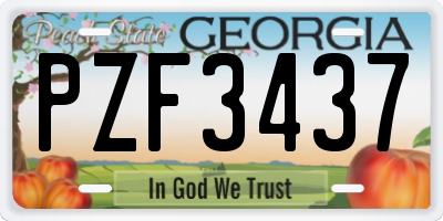 GA license plate PZF3437