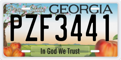 GA license plate PZF3441