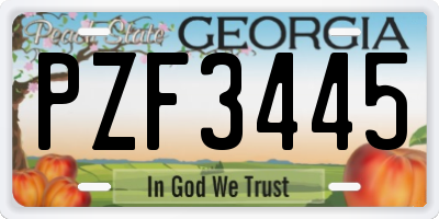 GA license plate PZF3445