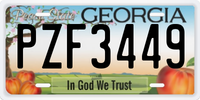 GA license plate PZF3449