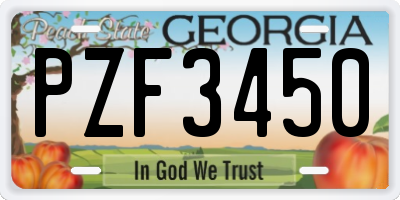 GA license plate PZF3450
