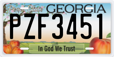 GA license plate PZF3451