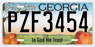 GA license plate PZF3454