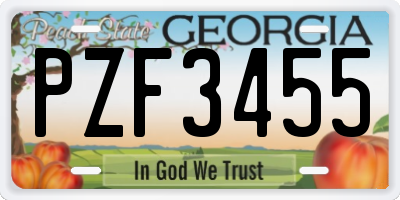 GA license plate PZF3455