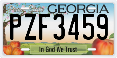 GA license plate PZF3459
