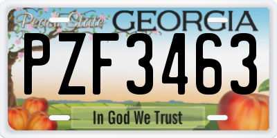 GA license plate PZF3463