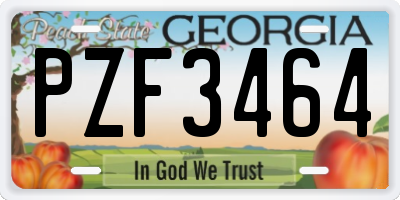 GA license plate PZF3464