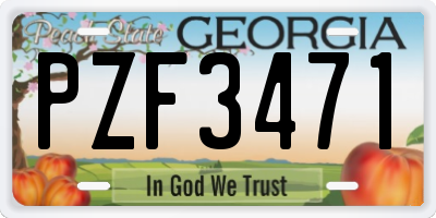 GA license plate PZF3471