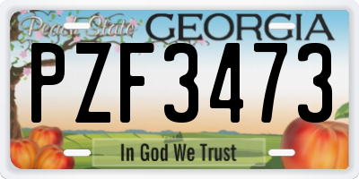 GA license plate PZF3473