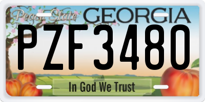 GA license plate PZF3480