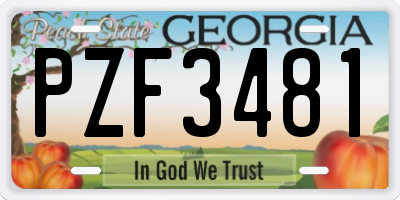 GA license plate PZF3481