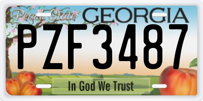 GA license plate PZF3487