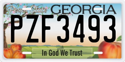 GA license plate PZF3493
