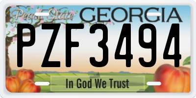 GA license plate PZF3494