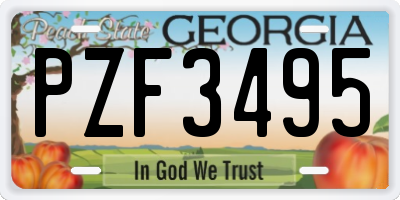 GA license plate PZF3495