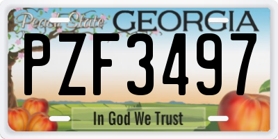 GA license plate PZF3497
