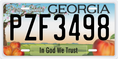 GA license plate PZF3498