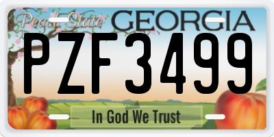 GA license plate PZF3499