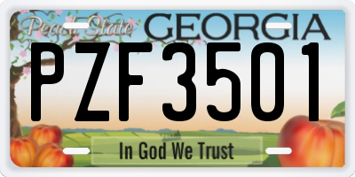 GA license plate PZF3501