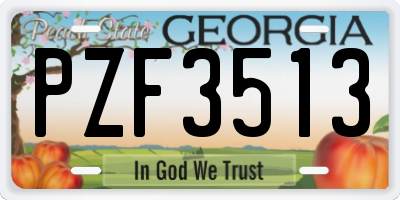 GA license plate PZF3513