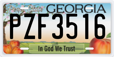 GA license plate PZF3516