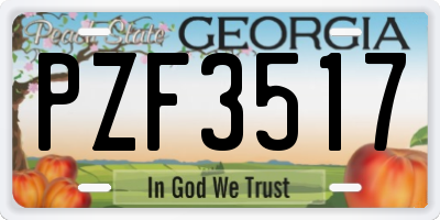 GA license plate PZF3517