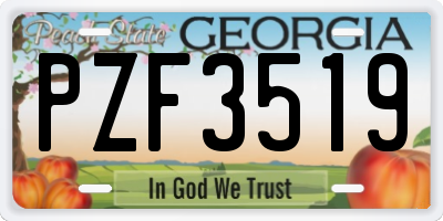 GA license plate PZF3519