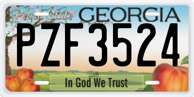 GA license plate PZF3524