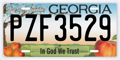 GA license plate PZF3529