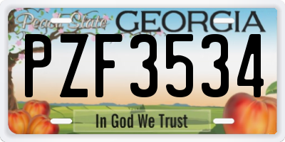 GA license plate PZF3534