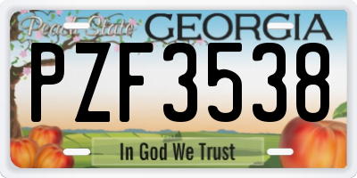 GA license plate PZF3538
