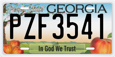 GA license plate PZF3541