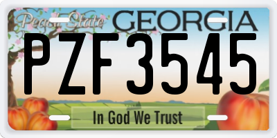 GA license plate PZF3545