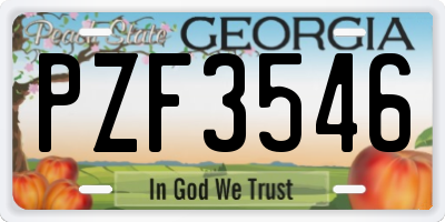 GA license plate PZF3546