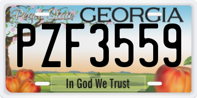 GA license plate PZF3559