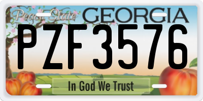 GA license plate PZF3576