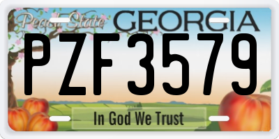 GA license plate PZF3579