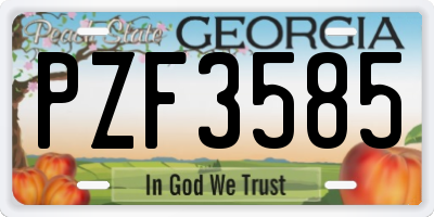 GA license plate PZF3585