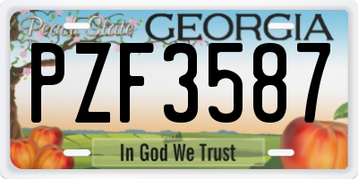 GA license plate PZF3587