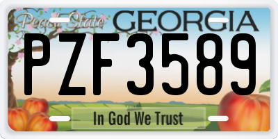 GA license plate PZF3589