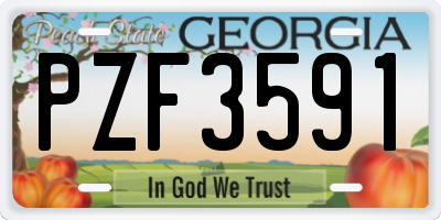 GA license plate PZF3591