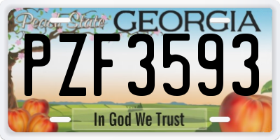 GA license plate PZF3593