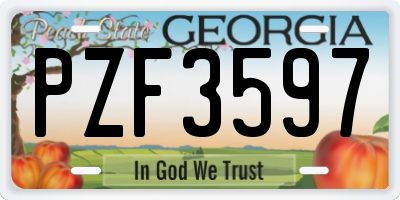 GA license plate PZF3597